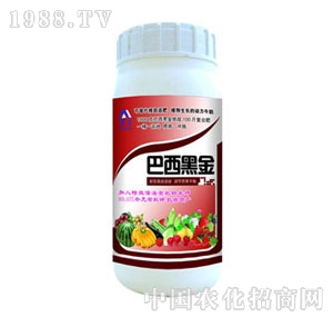 �W�P-�����ڽ�