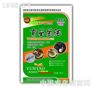 �W�P-�������