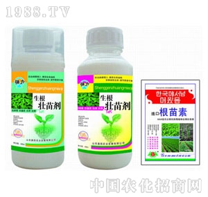 �W�P-�������焩