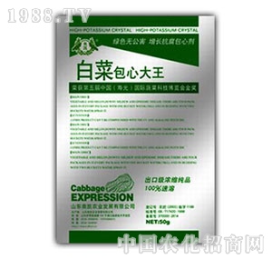 �W�P-�ײ˰��Ĵ���