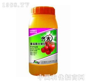 �W�P-�R����������t