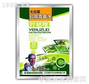 �W�P-��ײ�ܛ��˪ù��