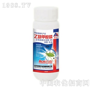 �W�P-�����װ���