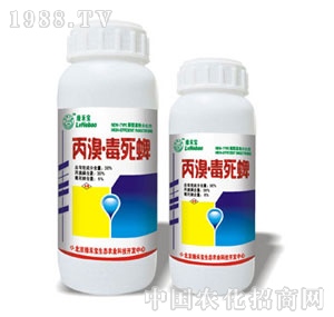 ���G�̌�-36%���嶾����