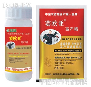 ���G�̌�-ِ�W��