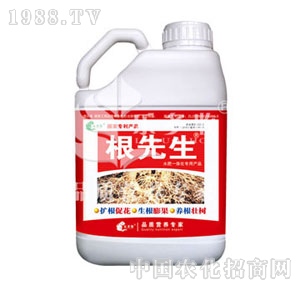 ����������(sh��)��