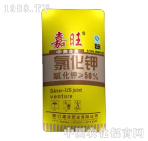 ����-�Ȼ��