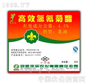 �S���r��-�������