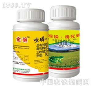 �S���r��-���׶�����