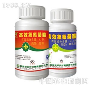 �S���r��-�������