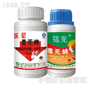 �S���r��-������