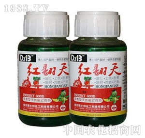 ��ʿ��-�t����