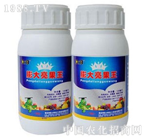 ��ʿ��-���������