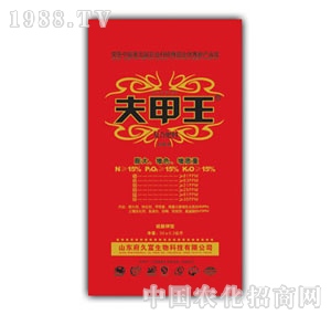 ɽ�|��Ԫ-�����