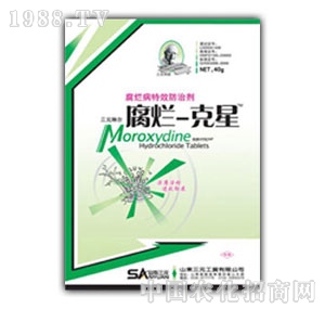 ɽ�|��Ԫ-��������