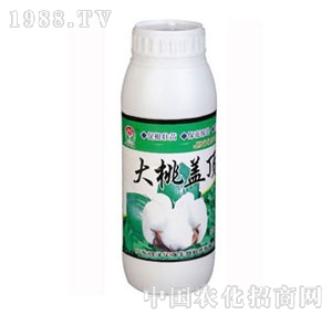 ���A��(qi��ng)-�����w�