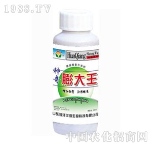 ���A��(qi��ng)-���������