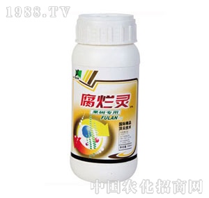 ���A��(qi��ng)-�����`