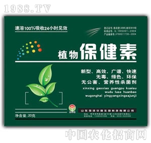 ���A��(qi��ng)-ֲ�ﱣ����