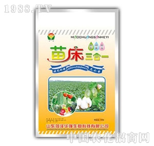 ���A��-�紲����һ