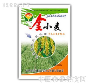 ���A��-��С��