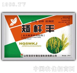 ���A��(qi��ng)-���U�S