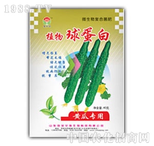 ���A��(qi��ng)-�򵰰�