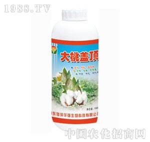 ���A��-�����w�