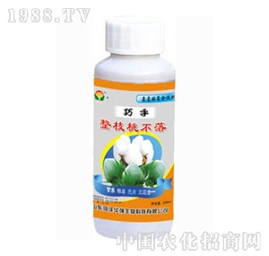 ���A��-������֦�Ҳ���