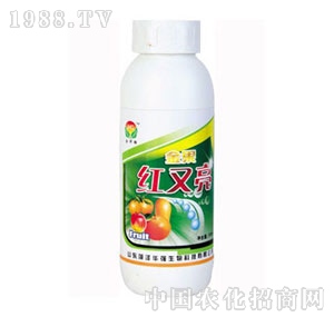 ���A��-�t����