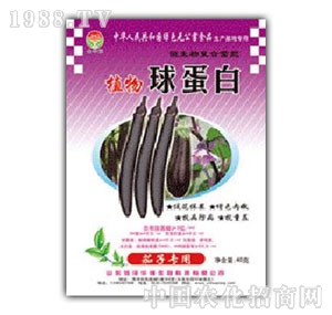 ���A��-ֲ���򵰰����ӌ���