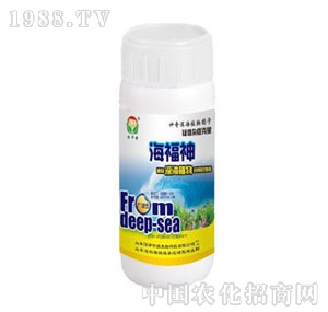 ���A��(qi��ng)-������