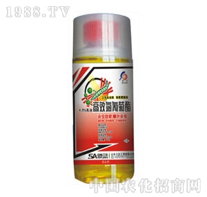 ɽ�|��Ԫ-�������