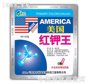 ��ԣ����-����(gu��)�t���