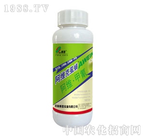 ِ��-���S��ʭ��