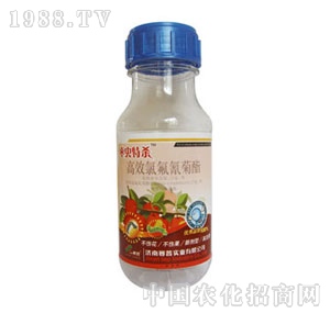 ِ��-���x�ؚ�