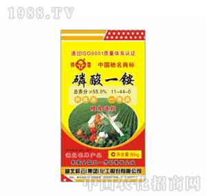 ����-����һ�@��11-44-0�����{����