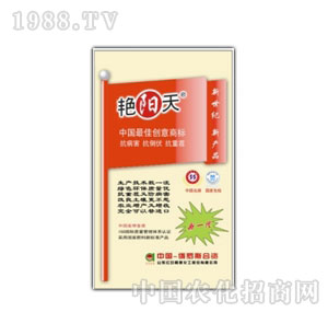 �t�հ���-��һ��384�I(y��ng)�B(y��ng)���G�(y��ng)���(f��)�Ϸ�