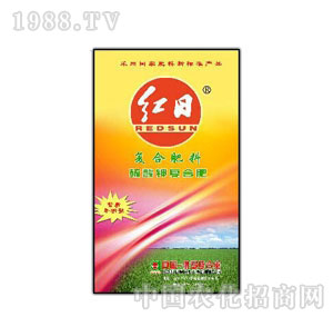 �t�հ���-�t������⛏ͺϷ�(�S)