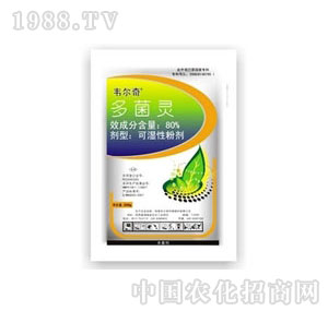 ����-����`