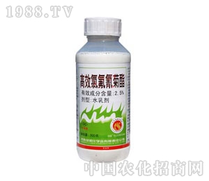 �G��-2.5%�ȷ������ˮ�鄩