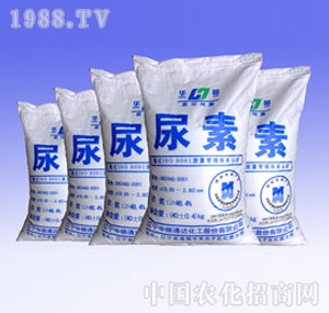 �A�\-�������