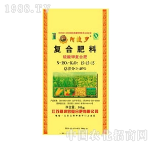 �����_-������͏�(f��)�Ϸ�