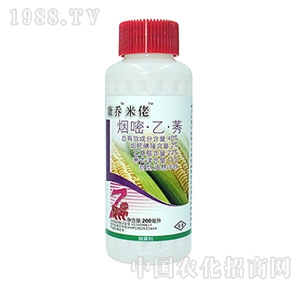 ����-������ݬ