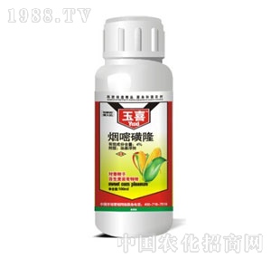 �²�����-��ϲ