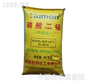 ����-������@