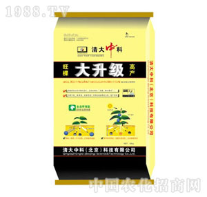 ����п�-������