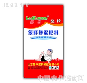 ����-��ጓ����