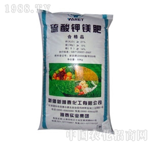 ��̩-������V��