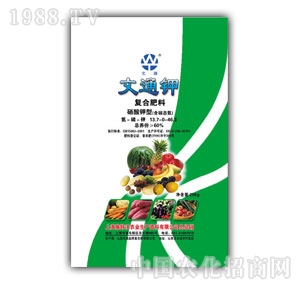 ��ͨ-�ͺϷ���